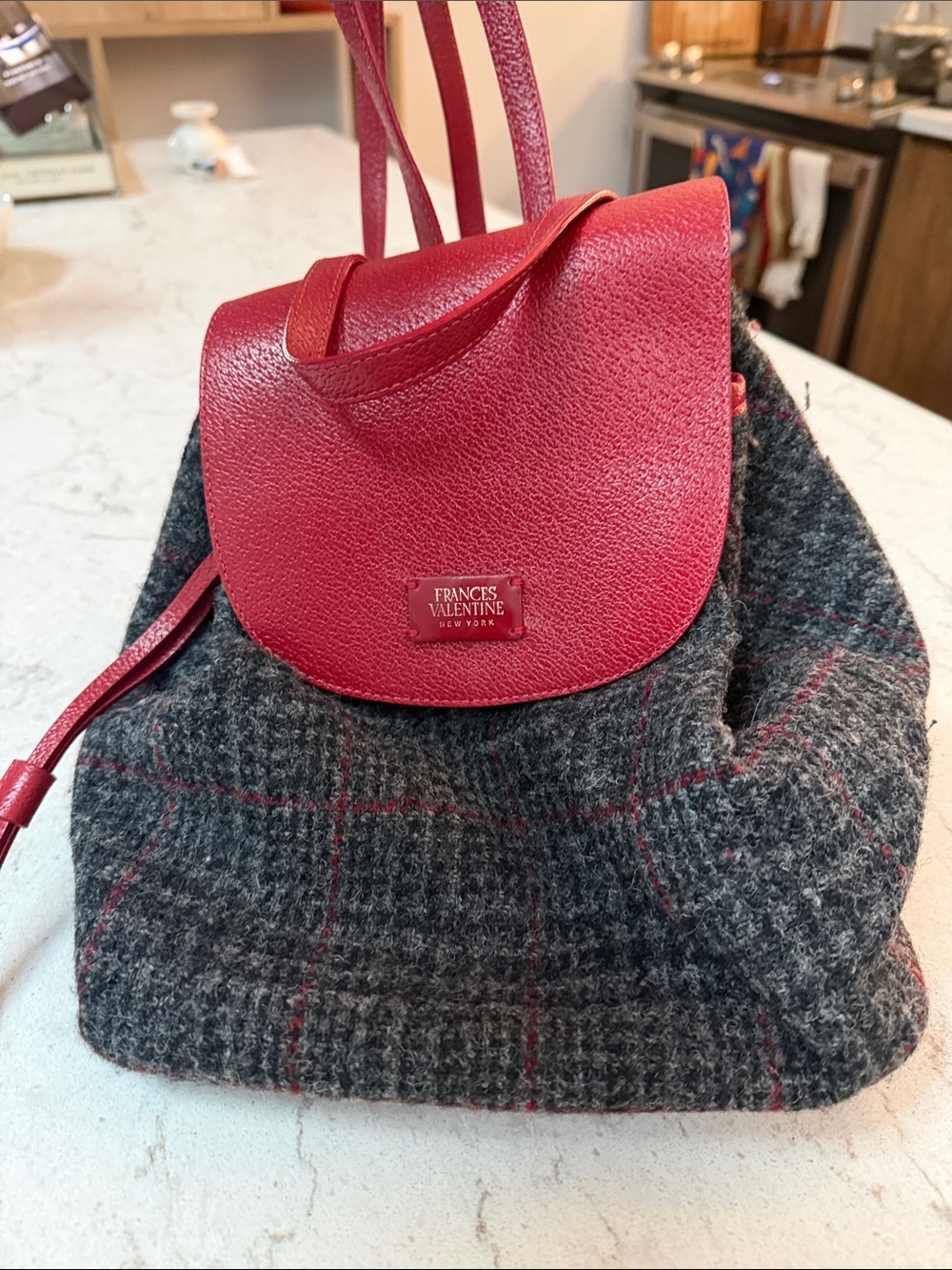 Frances Valentine Backpack View 6